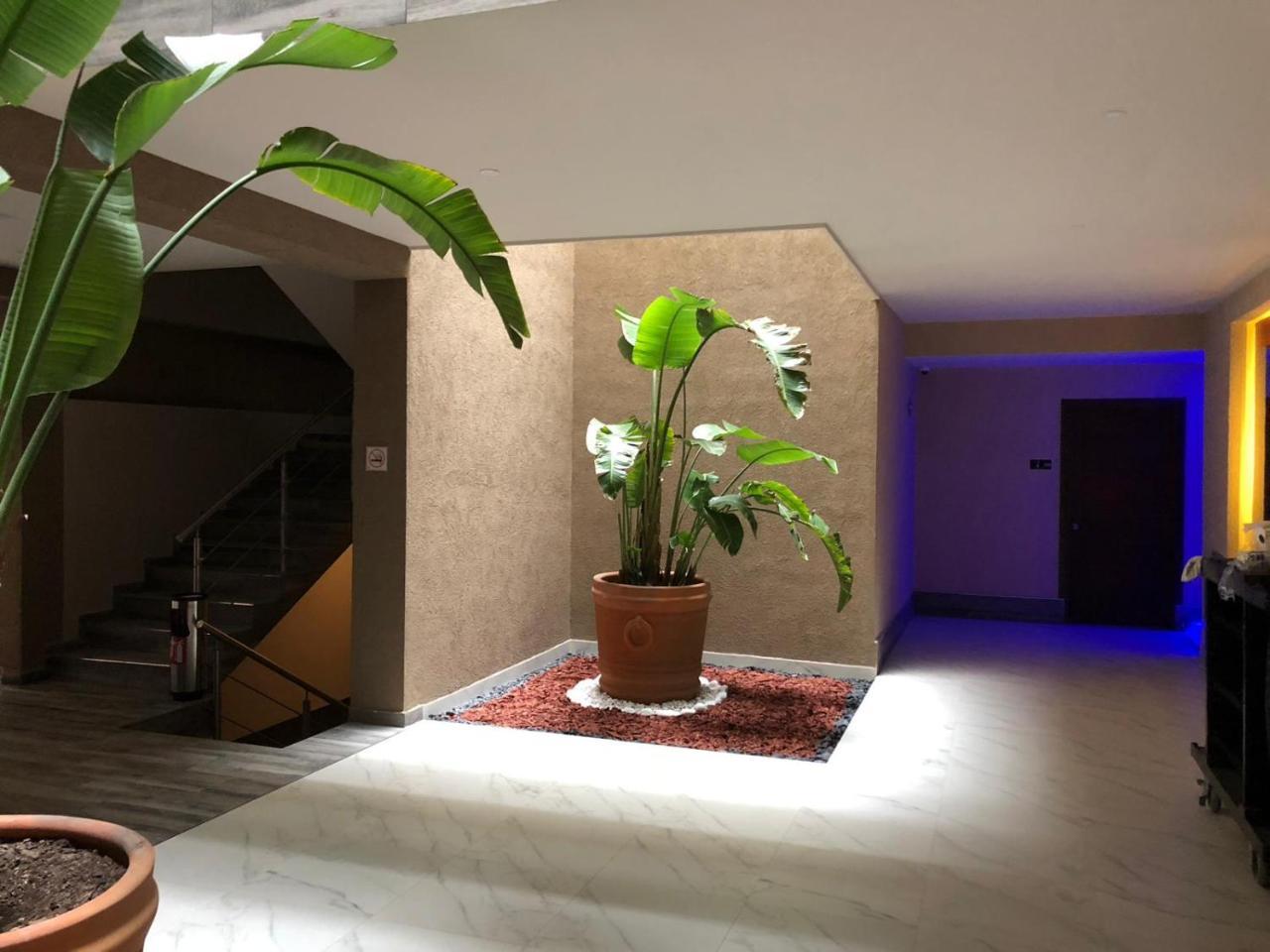 Hotel Plaza Arteaga Монтеррей Экстерьер фото